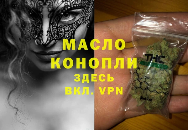 амф Горняк