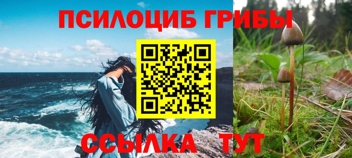 Псилоцибиновые грибы мухоморы Дубна
