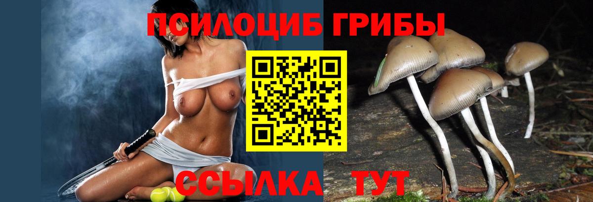 Псилоцибиновые грибы мицелий Дубна