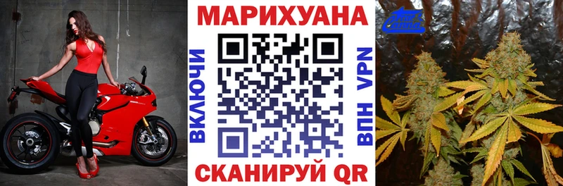 где найти   Дубна  Шишки марихуана White Widow 