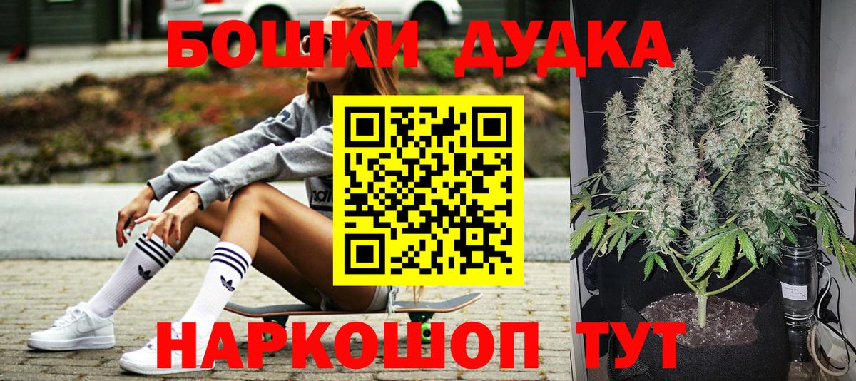 МАРИХУАНА конопля Дубна